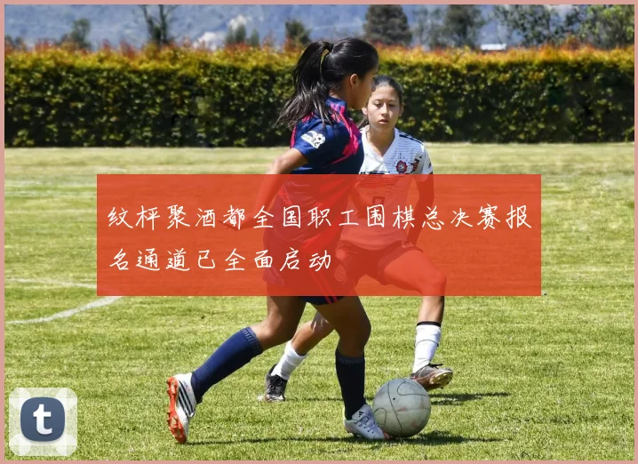 纹枰聚酒都全国职工围棋总决赛报名通道已全面启动