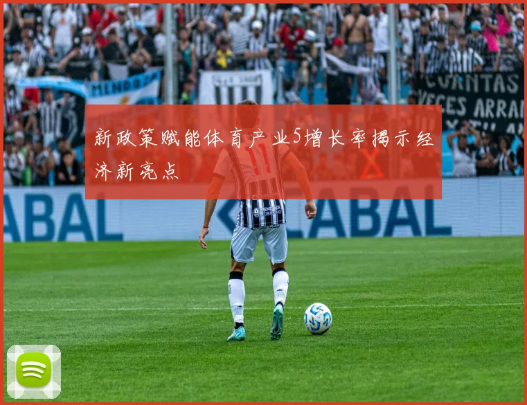 新政策赋能体育产业5增长率揭示经济新亮点