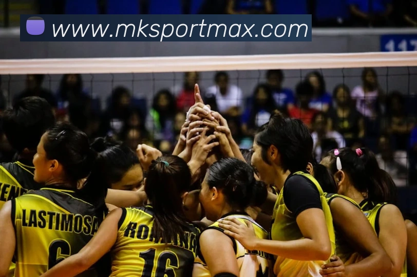 MK体育发展历程