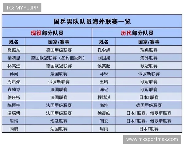 德甲球队科普视频：深入了解德甲联赛